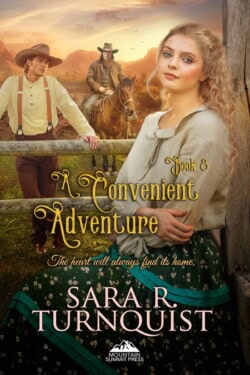 A Convenient Adventure (e-book)